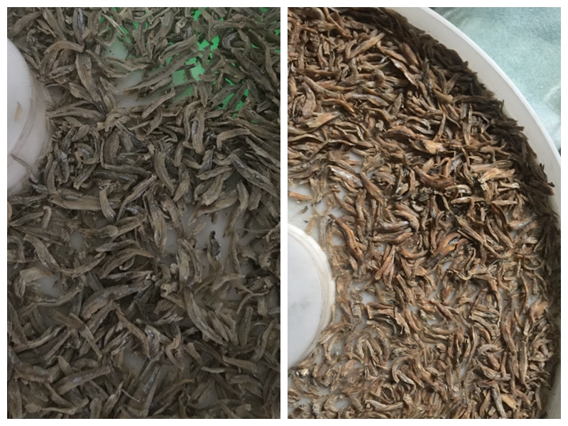 How to Make the Crunchy Dried Fish